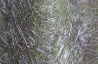 Brentingby fibreglass roof work